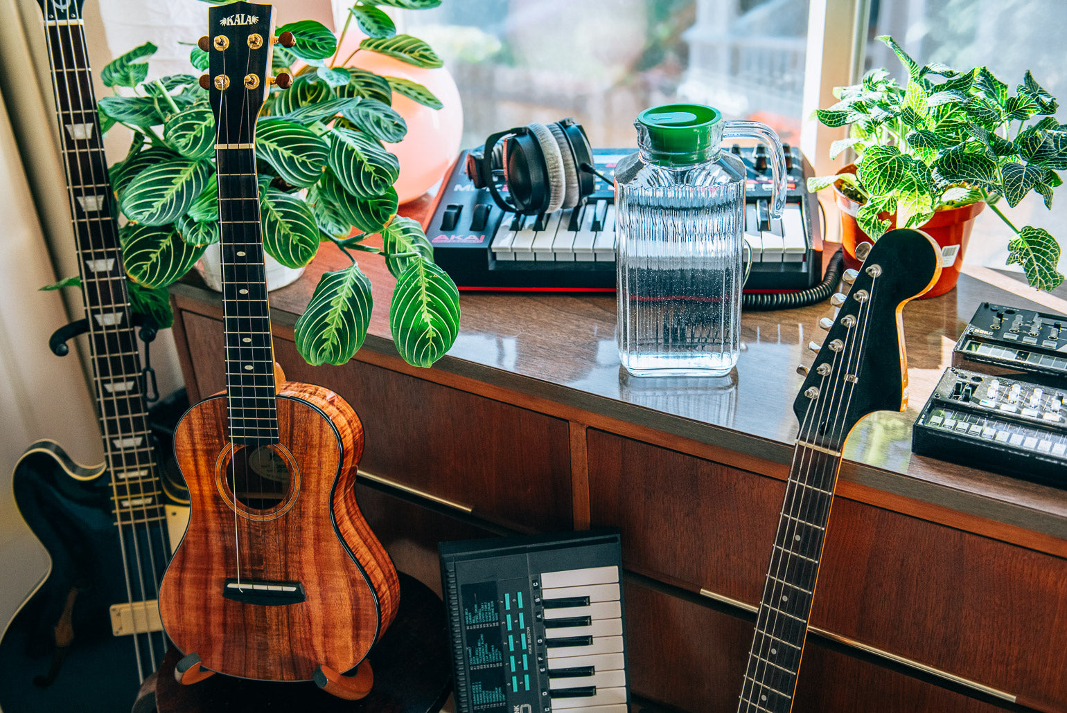 5 Songs to Learn on Ukulele this Spring