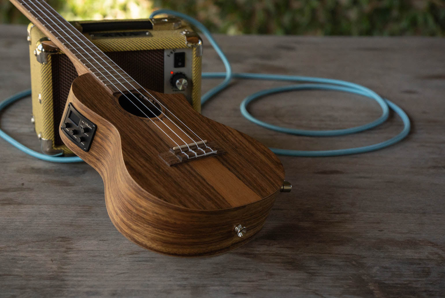 Electric Ukulele vs. Acoustic Ukulele: The Ultimate Guide