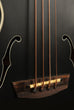 Aquila Flat Spiral U•BASS® Set