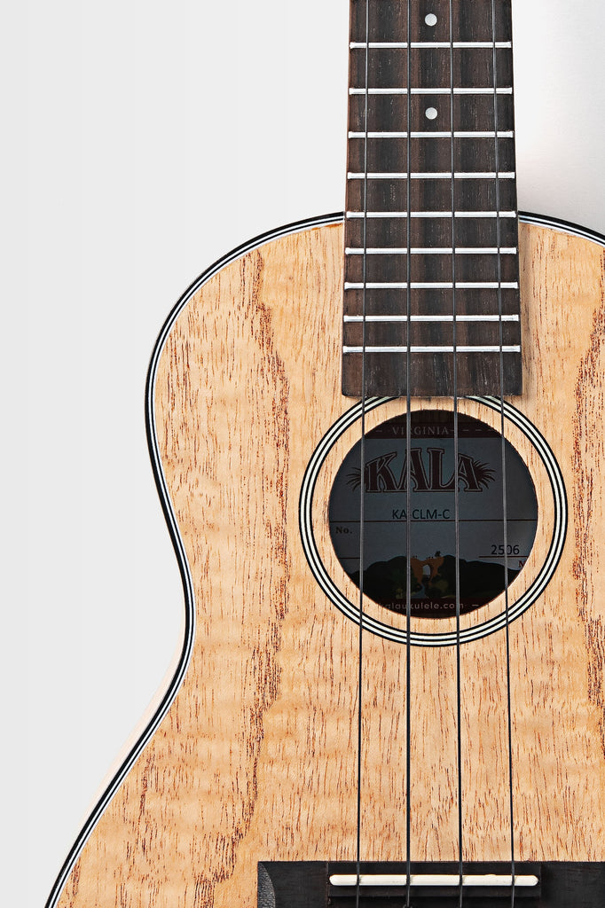 Cape Lilac Mahogany Concert Ukulele with Bag