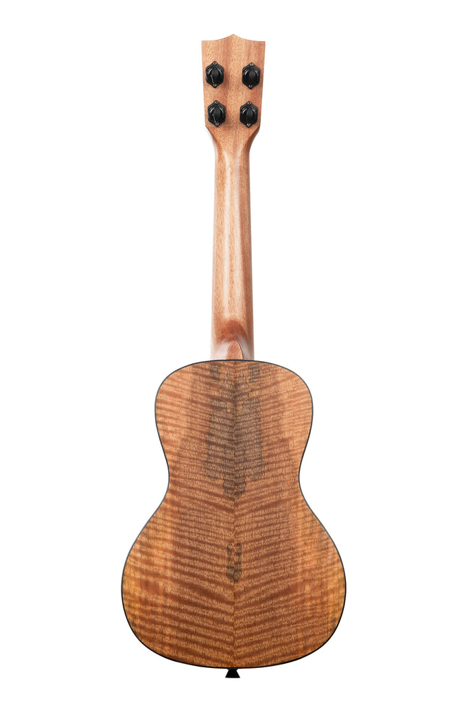 A Curly Mango Concert Ukulele shown at a back angle