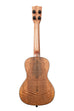 A Curly Mango Concert Ukulele shown at a back angle