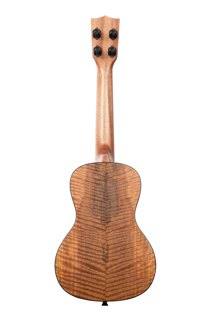A Curly Mango Concert Ukulele shown at a back angle