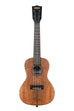 A Curly Mango Concert Ukulele shown at a front angle