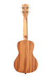 A Guidance Mahogany Concert Ukulele shown at a back angle