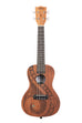 A Guidance Mahogany Concert Ukulele shown at a front angle