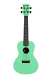 Sea Foam Green Concert Recycled Waterman