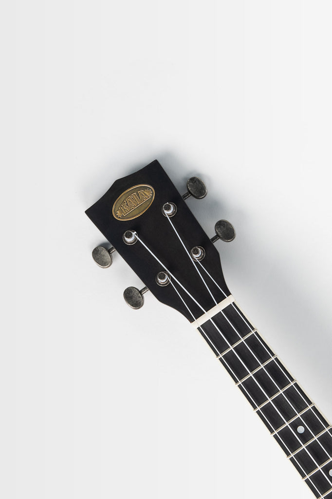 Brushed Copper Tenor Resonator Ukulele with Bag