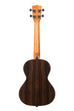 A Ziricote Gloss Tenor Ukulele shown at a back angle