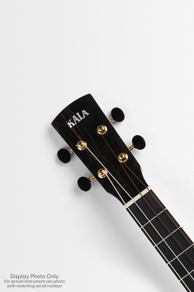 Revelator® Nautilus Limited Spalted Maple Sapele Baritone Ukulele