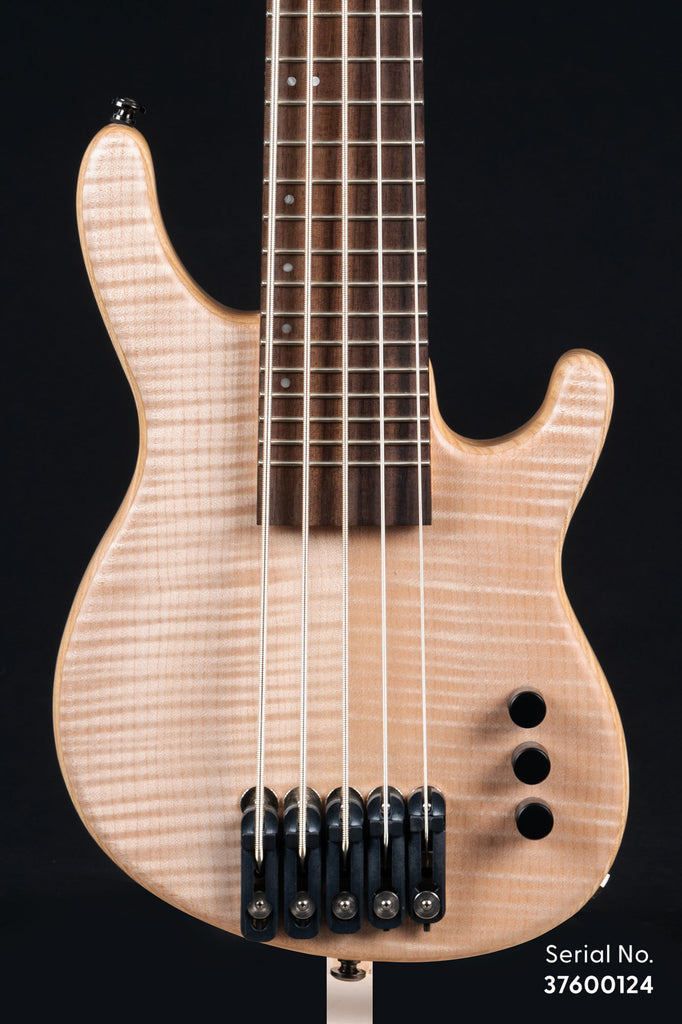 Big Leaf Maple 5-String Fretted California U•BASS®