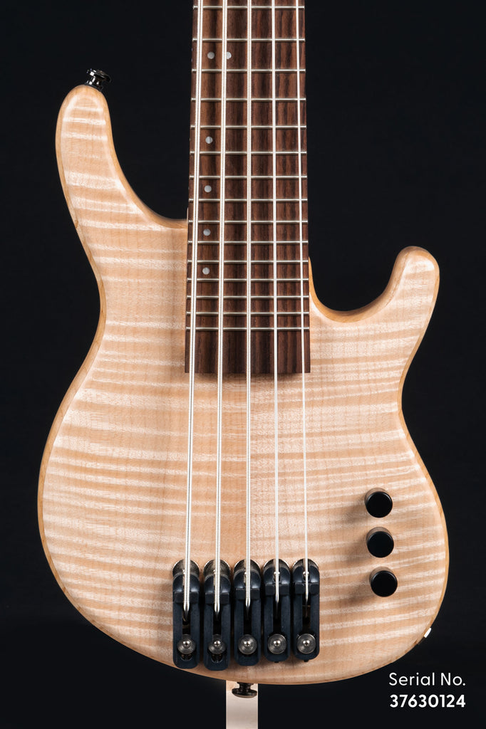 Big Leaf Maple 5-String Fretted California U•BASS®