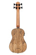 A Spalted Mango Acoustic-Electric Fretted U•BASS® shown at a back angle