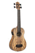 Spalted Mango Acoustic-Electric Fretted U•BASS®