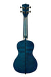 A Blue Exotic Mahogany Concert Ukulele shown at a back angle