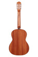 A Cedar Top Mahogany Nylon String Classical Guitar shown at a back angle