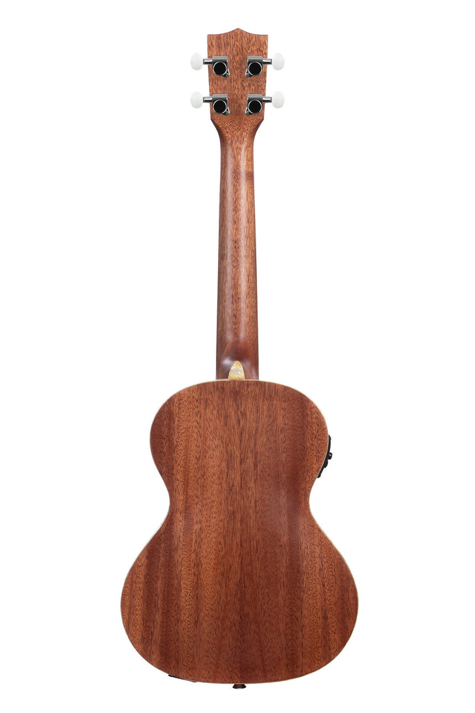 BLEM - Kalamazoo Gold Archtop Tenor