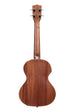 BLEM - Kalamazoo Gold Archtop Tenor