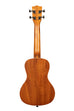A Mandy Harvey Signature Concert Ukulele shown at a back angle