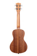 A mxmtoon Signature Concert Ukulele shown at a back angle