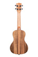 A Pacific Walnut Concert Ukulele shown at a back angle