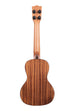 A Gloss Solid Cedar Top Acacia Concert Ukulele shown at a back angle