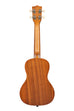 A Dawn Patrol Concert Ukulele shown at a back angle