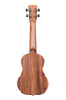A Teak Concert Ukulele shown at a back angle
