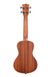 A Satin Mahogany Concert Ukulele shown at a back angle