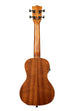 A Satin Mahogany Concert Ukulele w/ EQ shown at a back angle