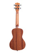 A Gloss Mahogany Concert Ukulele shown at a back angle