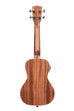 A Gloss Mahogany Concert Ukulele w/ EQ shown at a back angle