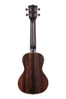 A Striped Ebony Concert Ukulele shown at a back angle