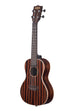 A Striped Ebony Concert Ukulele shown at a left angle