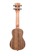 A Pacific Walnut Soprano Ukulele shown at a back angle