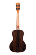 A Premier Exotic Ziricote Concert Ukulele shown at a back angle