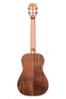 A Solid Acacia Baritone Ukulele shown at a back angle