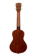 A Makala Concert Ukulele shown at a back angle