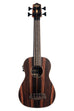 Striped Ebony Fretted Acoustic-Electric U•BASS®