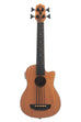 A Scout Fretless Acoustic-Electric U•BASS® shown at a front angle