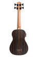 Striped Ebony Fretless Acoustic-Electric U•BASS®