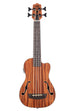 A Journeyman Acoustic-Electric U•BASS® with F-Holes shown at a front angle