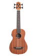 A Wanderer Acoustic-Electric U•BASS® shown at a front angle