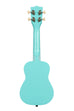 A Frost Bite Ukadelic Soprano Ukulele shown at a back angle