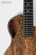 Revelator™  Mango Emperor Nautilus Tenor Ukulele