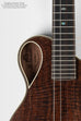 Revelator® Nautilus Walnut Emperor Tenor Ukulele