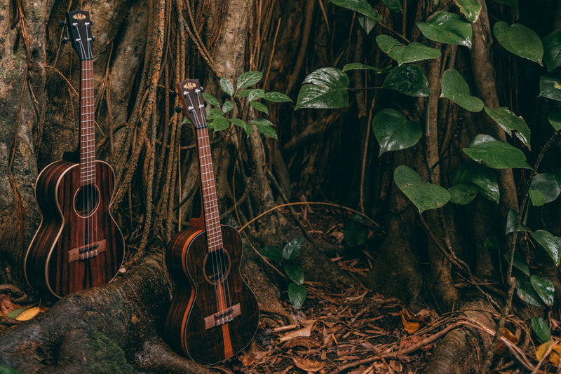 kala travel ukulele concert