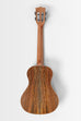 All Solid Mango Tenor XL Ukulele with Case