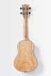Cape Lilac Mahogany Concert Ukulele with Bag
