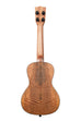A Curly Mango Concert Ukulele shown at a back angle